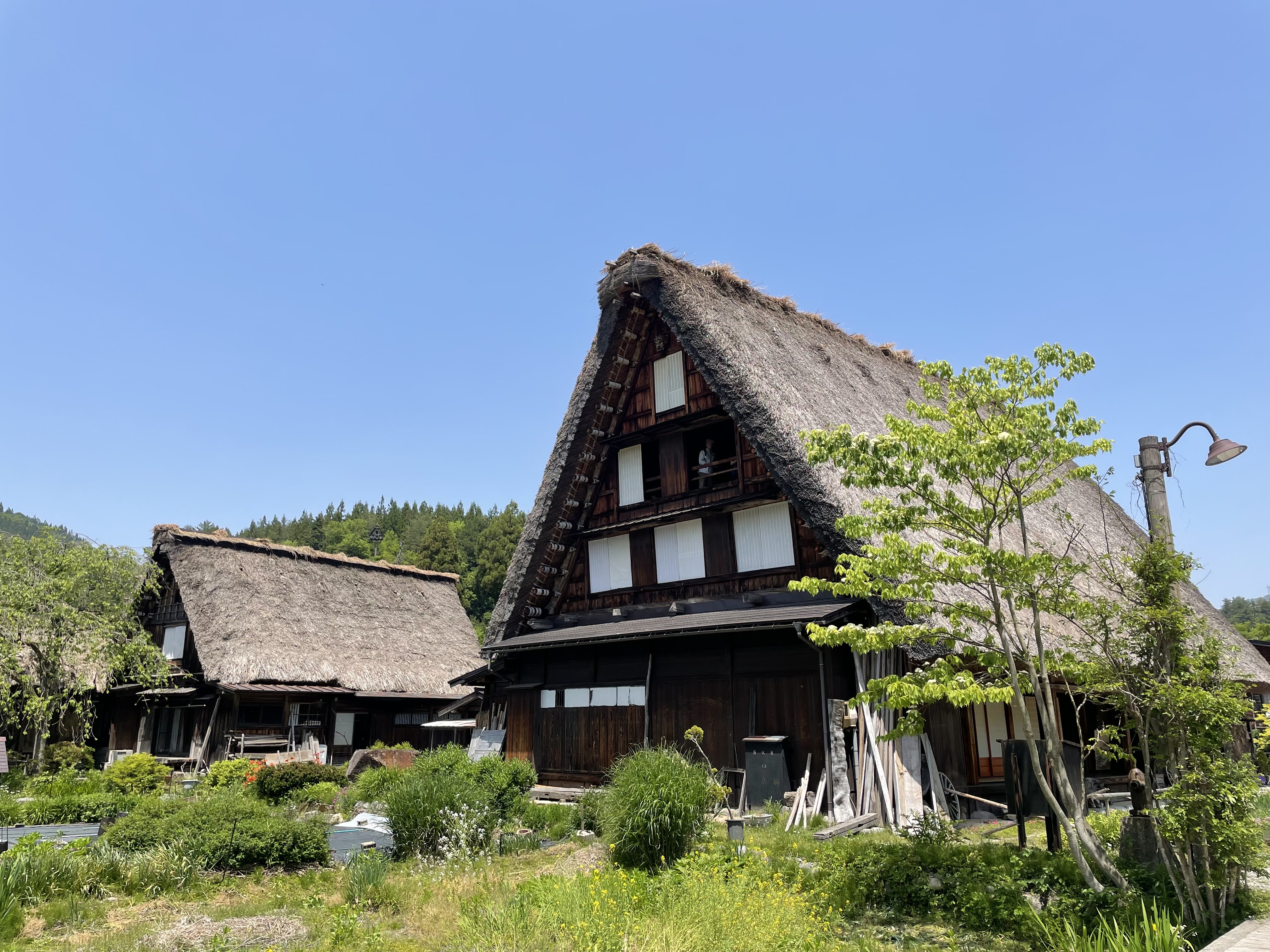 2023【大阪-名古屋-黑部立山-吉卜力公園】-訂票篇